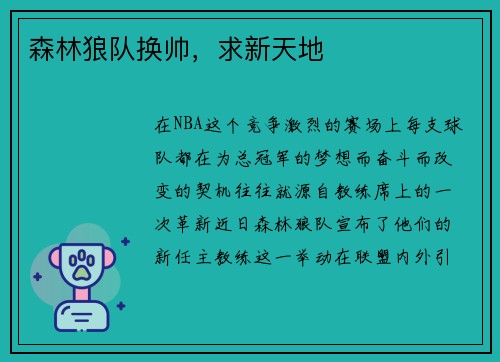 森林狼队换帅，求新天地